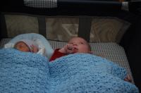 dsc 7919.jpg - 2009:02:12 19:47:18
