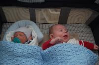 dsc 7921.jpg - 2009:02:12 19:47:25