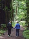 2012 g redwoods.jpg - 