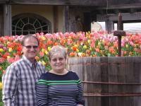 2012 f tulips.jpg - 